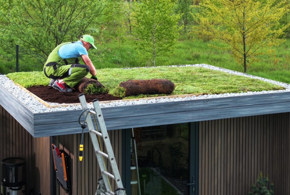 Toits verts et durabilité : Comment votre choix de toiture peut aider l’environnement